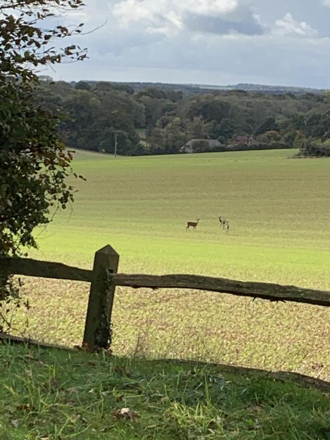Bootmenders B&B Petersfield Buitenkant foto